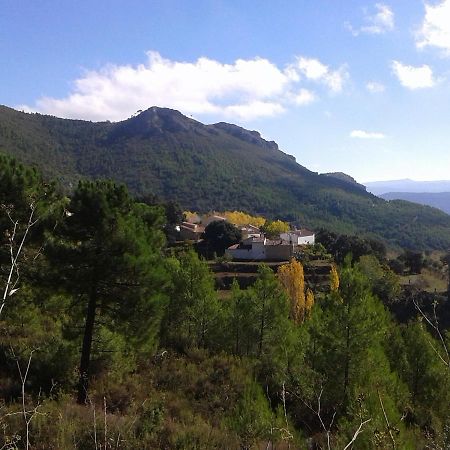 Las Encinas Yeste Buitenkant foto