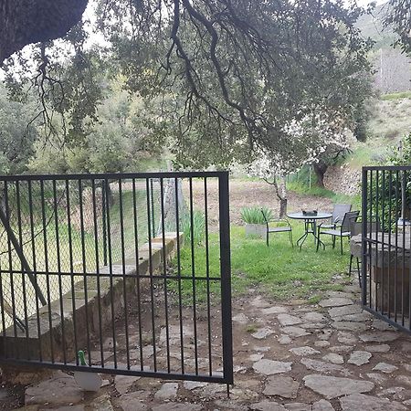 Las Encinas Yeste Buitenkant foto