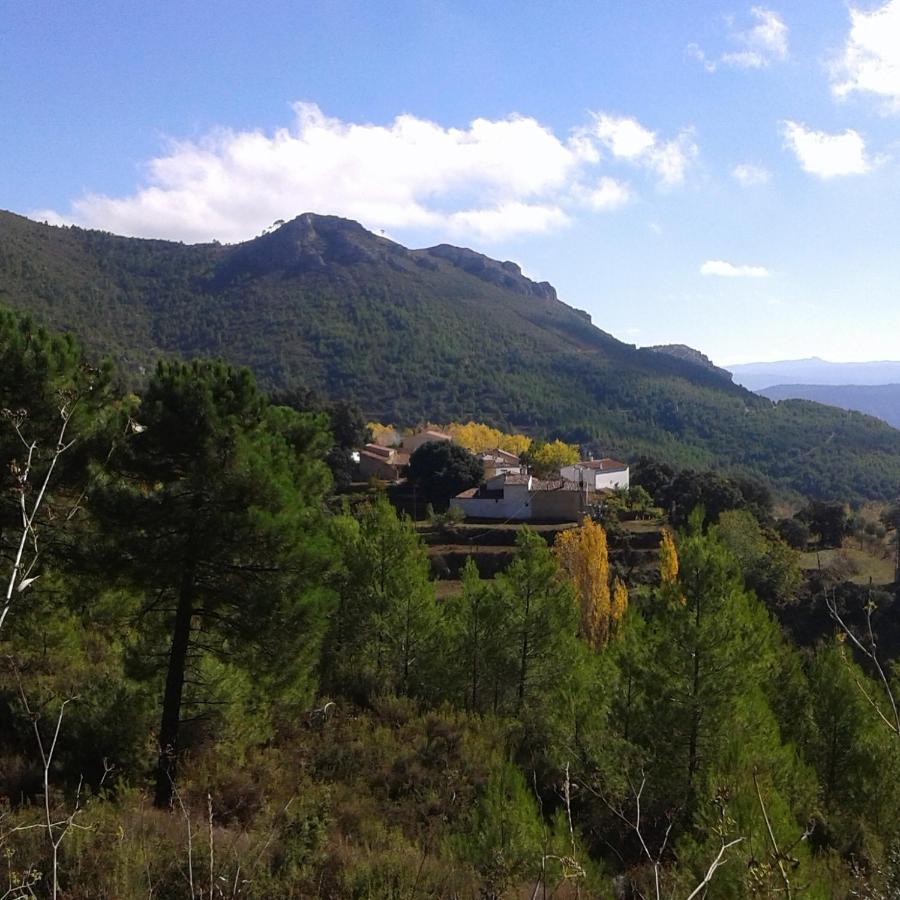 Las Encinas Yeste Buitenkant foto