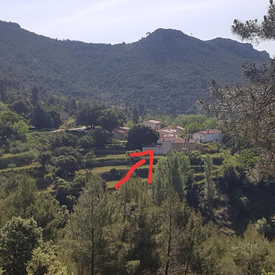 Las Encinas Yeste Buitenkant foto