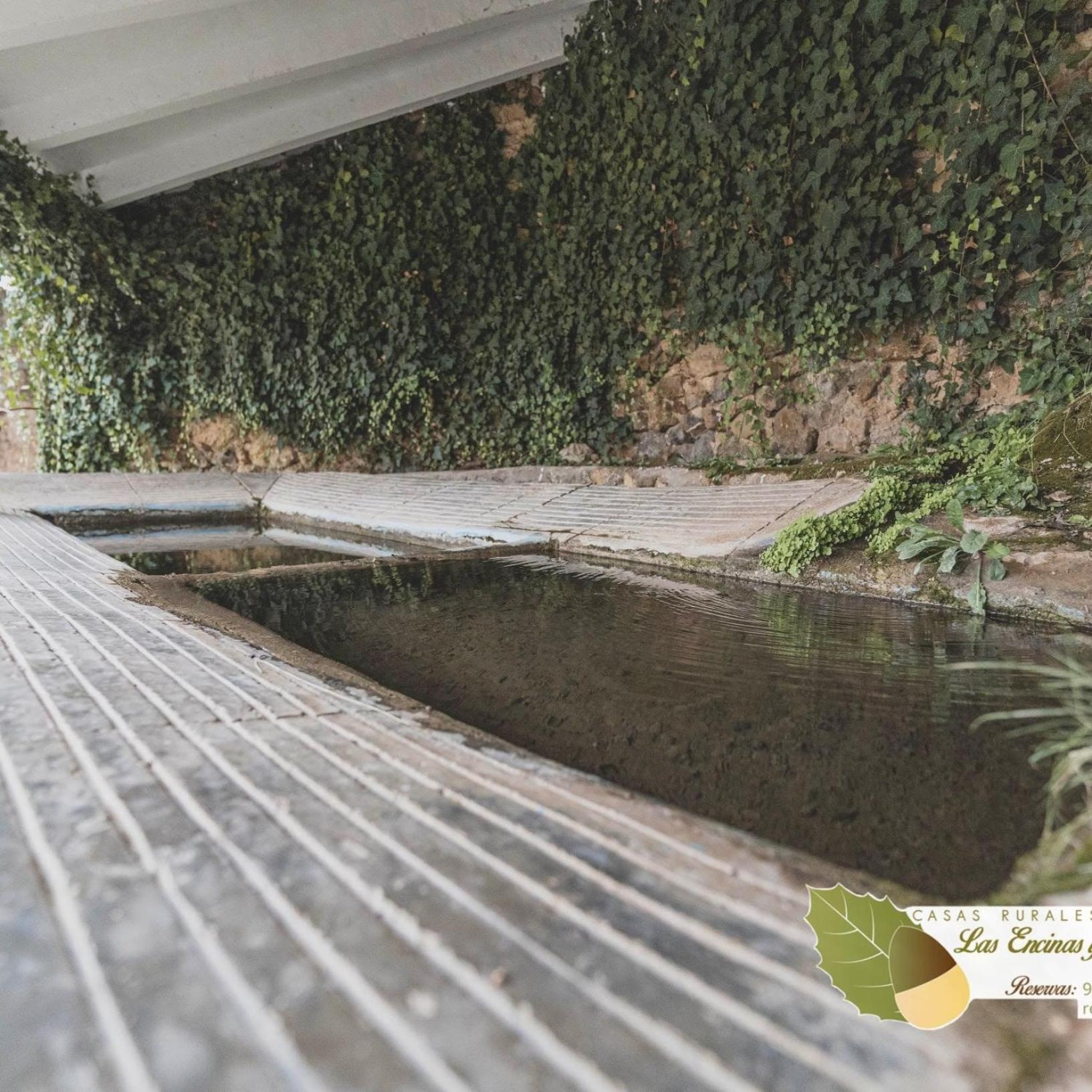 Las Encinas Yeste Buitenkant foto
