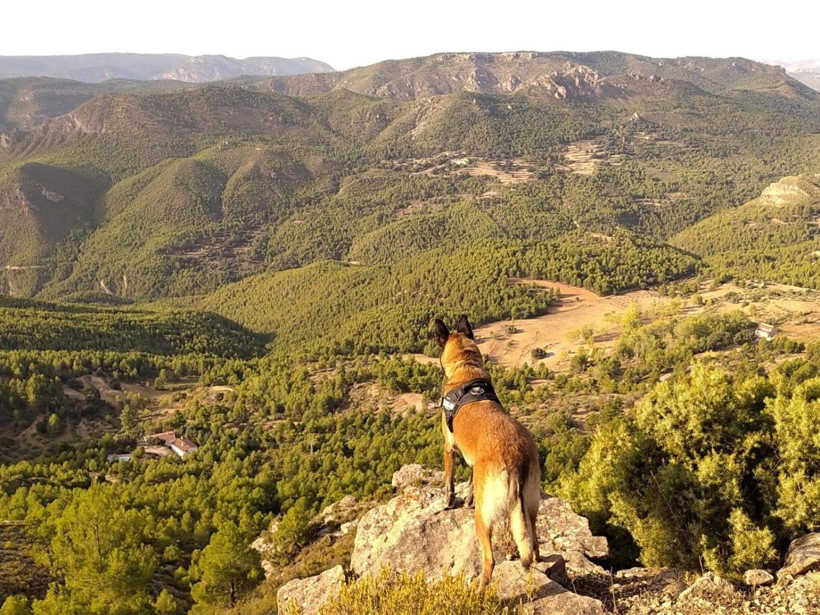 Las Encinas Yeste Buitenkant foto